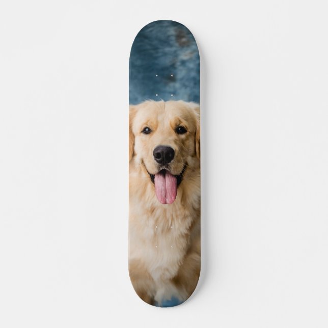 Skateboard Smart Dog Labrador (Front)
