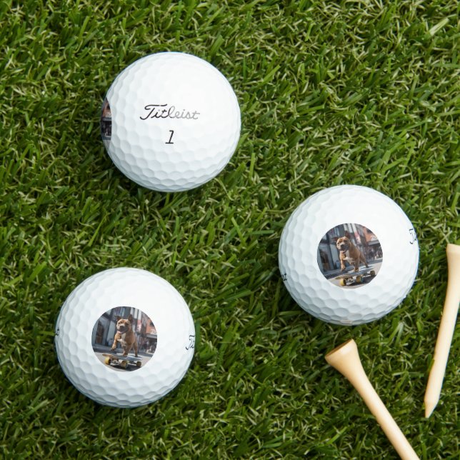 Skateboard Stunt: A Staffy on the Move Golf Balls (Insitu Grass)