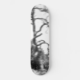 SKATEBOARD STYLE AND DESIGN