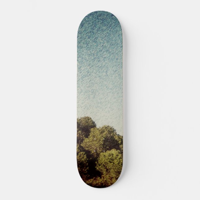 SKATEBOARD STYLE AND DESIGN (Front)