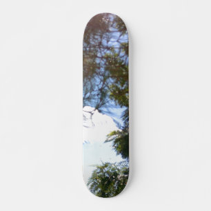 SKATEBOARD STYLE AND DESIGN