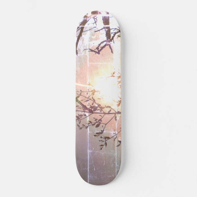 SKATEBOARD STYLE AND DESIGN (Front)