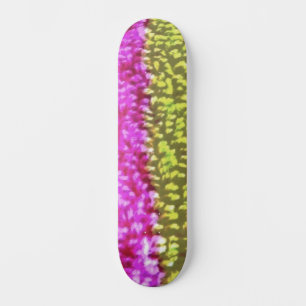 SKATEBOARD STYLE AND DESIGN