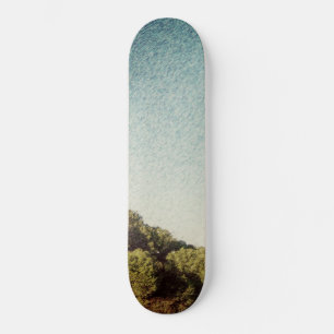 SKATEBOARD STYLE AND DESIGN