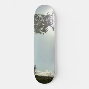SKATEBOARD STYLE AND DESIGN