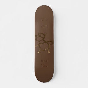 SKATEBOARD STYLE AND DESIGN