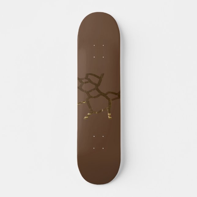 SKATEBOARD STYLE AND DESIGN (Front)