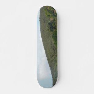 SKATEBOARD STYLE AND DESIGN