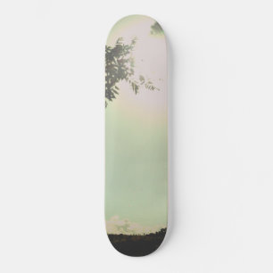 SKATEBOARD STYLE AND DESIGN