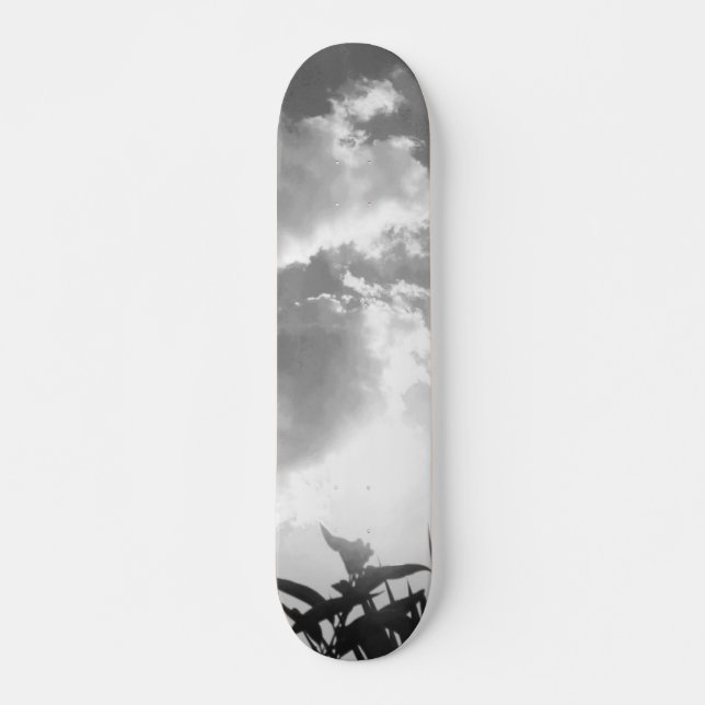 SKATEBOARD STYLE AND DESIGN (Front)