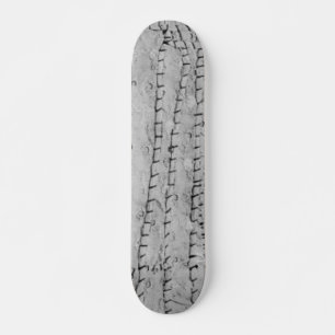 SKATEBOARD STYLE AND DESIGN