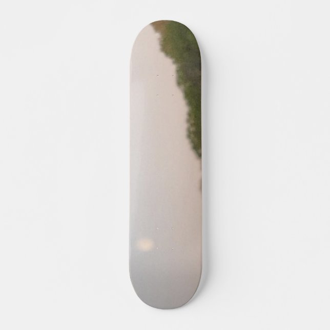 SKATEBOARD STYLE AND DESIGN (Front)