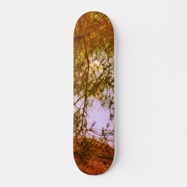 SKATEBOARD STYLE AND DESIGN (Front)