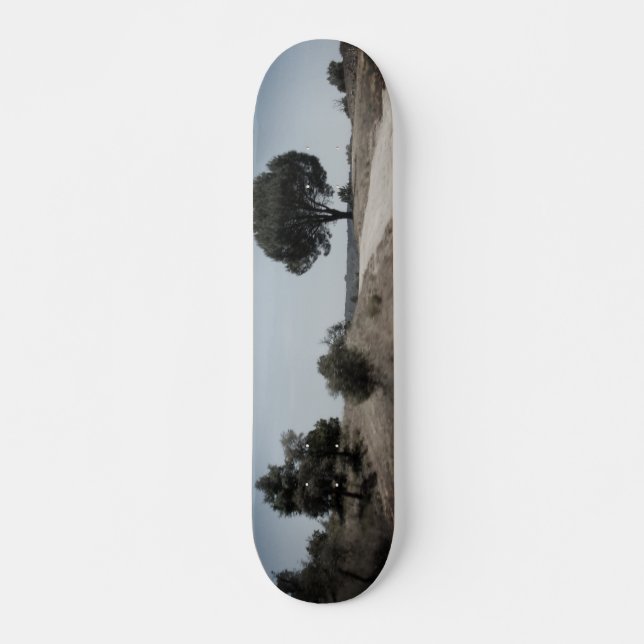 SKATEBOARD STYLE DESIGN (Front)