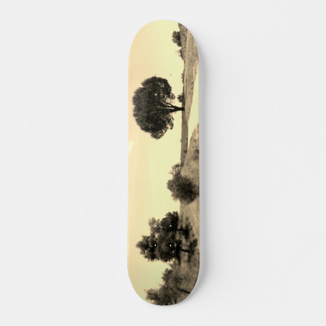 SKATEBOARD STYLE DESIGN (Front)