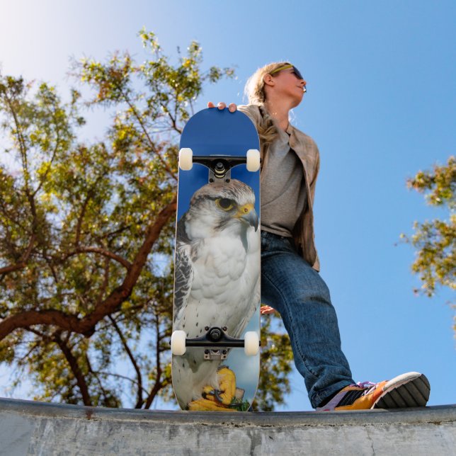 Skateboard Table Predator Bird Hawk (Outdoor 1)