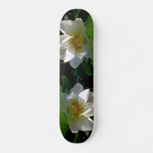 Skateboard with delicate white Lotus Flower
