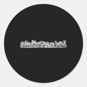 Skateboarding  classic round sticker