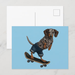 Skateboarding Dachshund  Postcard