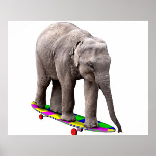 Skateboarding elephant poster