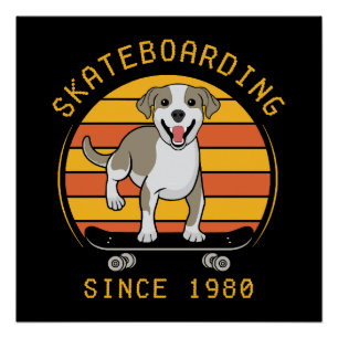 Skateboarding Since 1980 Poster