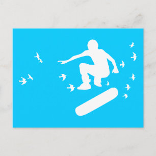 skateboarding with birds postcard