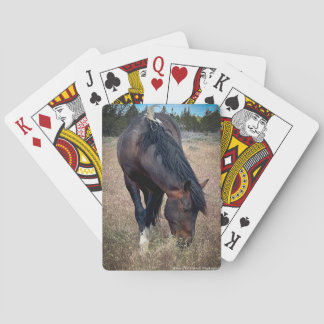 Skeeter Playing Cards