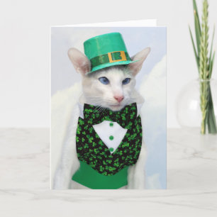 Skeezix McCat St Patrick's Day Card