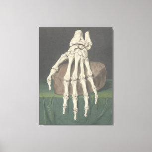 Skelet van een hand by Jan l Admiral Canvas Print