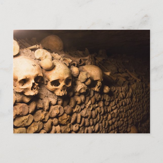 Skeletal Arrangement, Catacombs of Paris Postcard (Front)