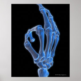Skeletal Hand Gesture Poster