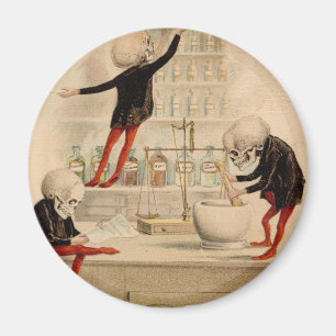 Skeletal Pharmacy Magnet