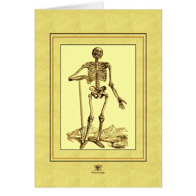 Skeleton (Front)