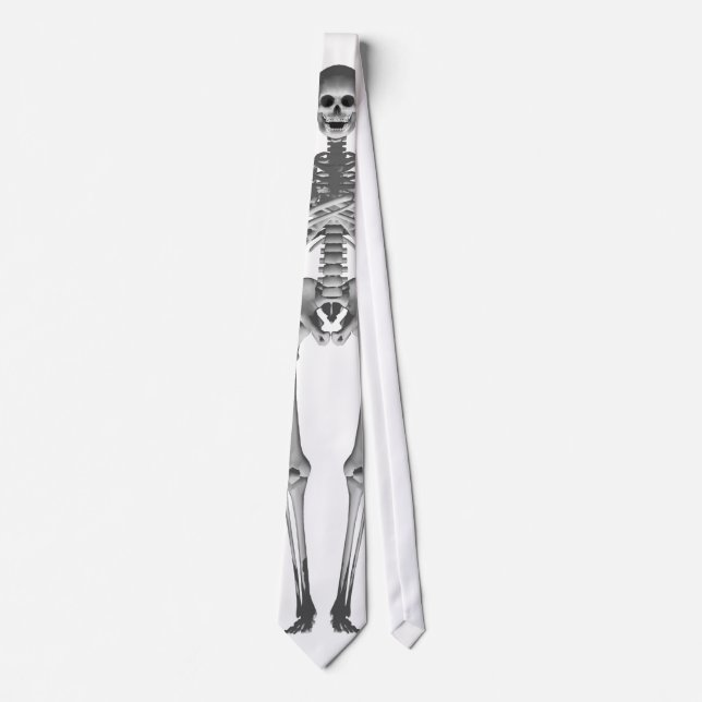 Skeleton 3D Model: Necktie / Tie (Front)