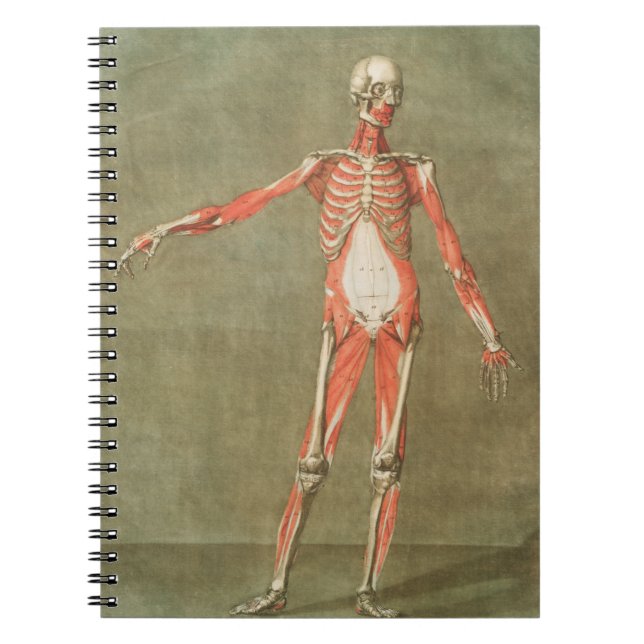 SKELETON ANATOMY BONES BODY GRAVE MUSCLE ANATOMY I NOTEBOOK (Front)