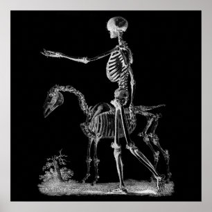 Skeleton and Horse Halloween Decor Poster BW3