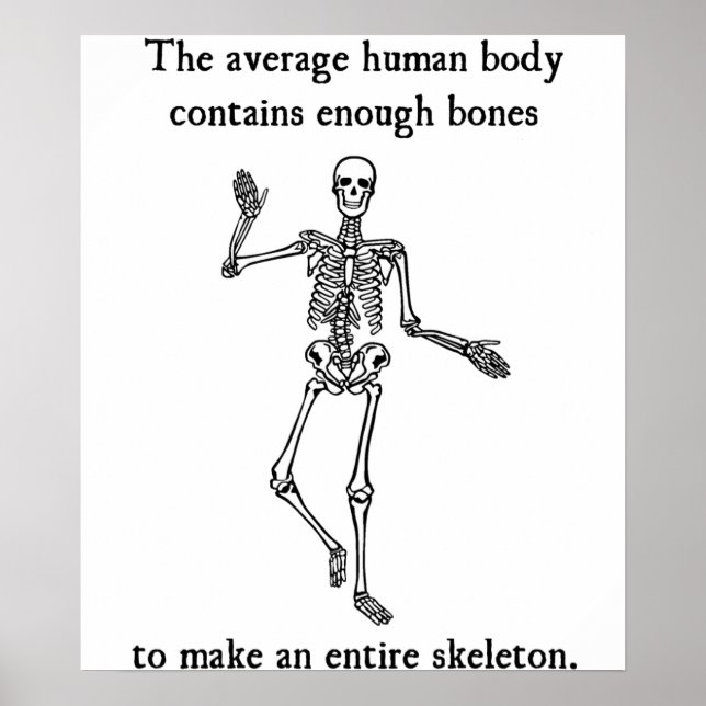 Skeleton Bones in the Average Human Body Poster (Front)
