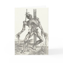 Skeleton Cadaver Corpse Anatomy Medical