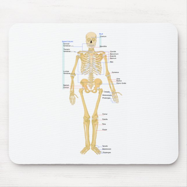 Skeleton Chart Mouse Mat (Front)