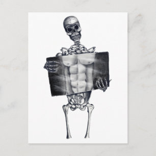 Skeleton Chest Xray White Postcard