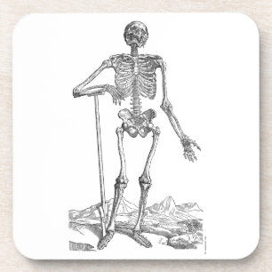 Skeleton Coaster