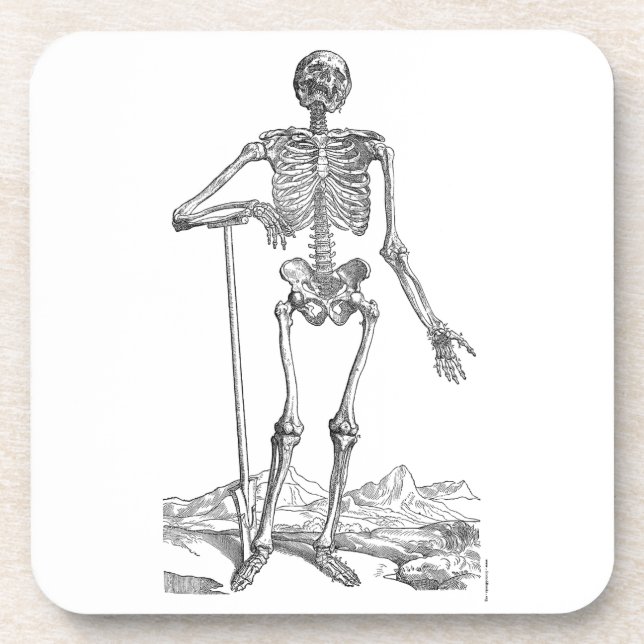 Skeleton Coaster (Front)
