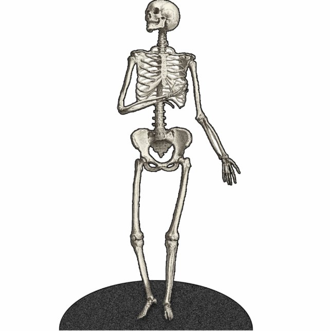 Skeleton Cutout Photosculpture 5x7 Standing Photo Sculpture (Front)