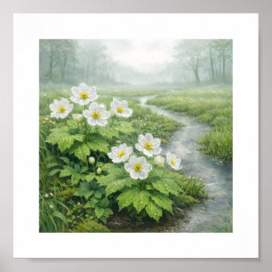 Skeleton Flower (Diphylleia grayi) – Art Print
