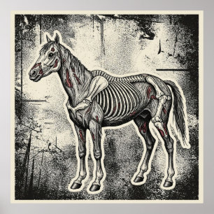 Skeleton Horse Poster
