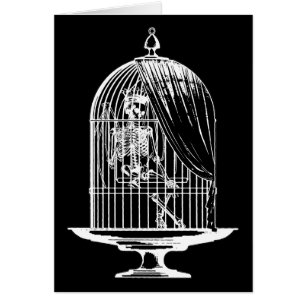 Skeleton in a Birdcage