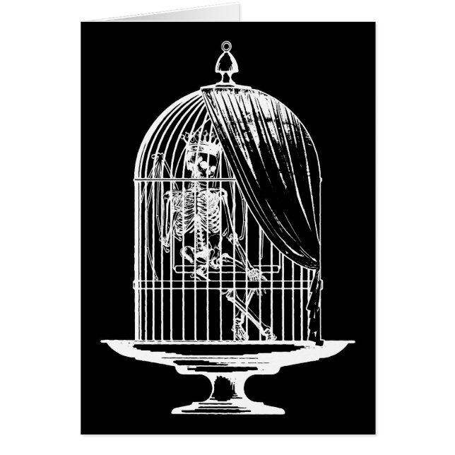 Skeleton in a Birdcage (Front)