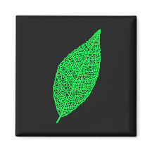 Skeleton Leaf line art black and green