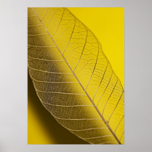Skeleton Leaf Yellow Poster