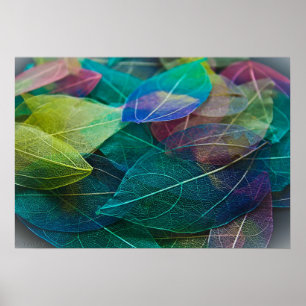 Skeleton Leaves Poster